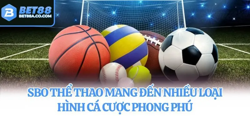 SBO Thể Thao mang đến nhiều loại hình cá cược phong phú