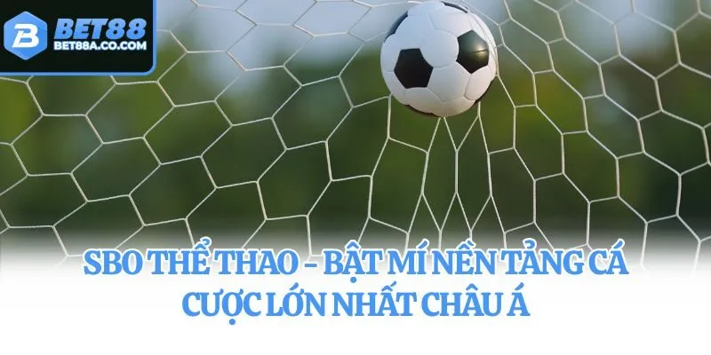 SBO Thể Thao - Bật Mí Nền Tảng Cá Cược Lớn Nhất Châu Á