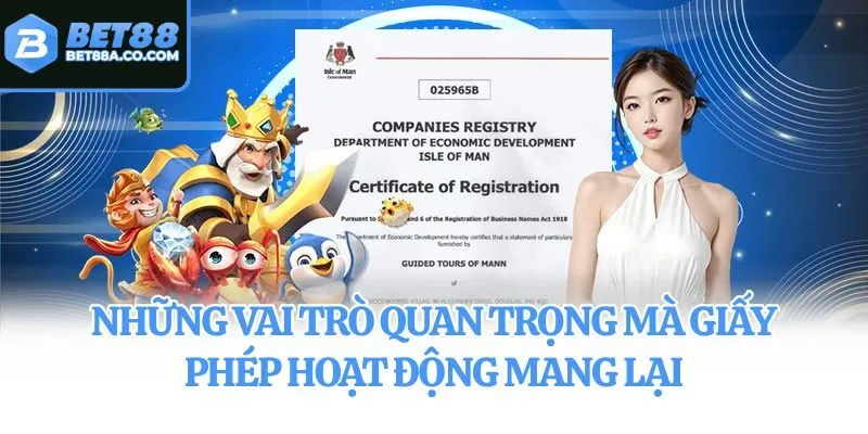 Những vai trò quan trọng mà giấy phép hoạt động mang lại